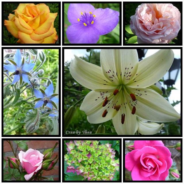 bloemen collage.jpg